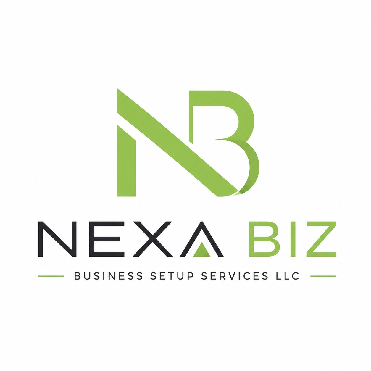 Nexa Biz